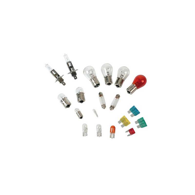 Kit lampade di ricambio 19 pz alogena 2x H1 - 12V