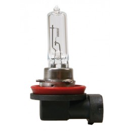 12V Lampada alogena - H9 - 65W - PGJ19-5 - 1 pz  - D Blister