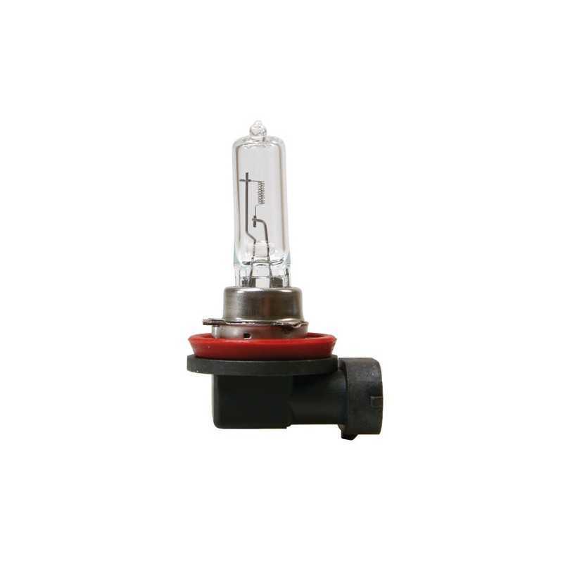 12V Lampada alogena - H9 - 65W - PGJ19-5 - 1 pz - D Blister