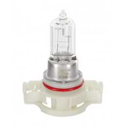 12V Lampada alogena - PS24W - 24W - PG20-3 - 1 pz - Scatola