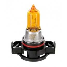 12V Lampada alogena - PSY24W - 24W - PG20-4 - 1 pz - Scatola - Arancio