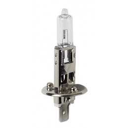 12V Lampada alogena - H1 - 55W - P14 5s - 2 pz - D Blister