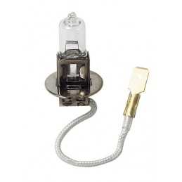12V Lampada alogena - (H3) - 100W - PK22s - 1 pz - D Blister