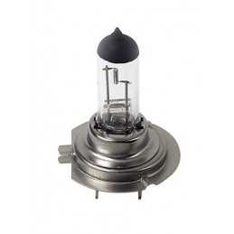 12V Lampada alogena - H7 - 55W - PX26d - 1 pz - D Blister