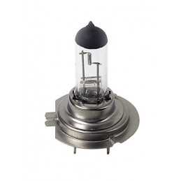 12V Lampada alogena - (H7) - 100W - PX26d - 1 pz - D Blister