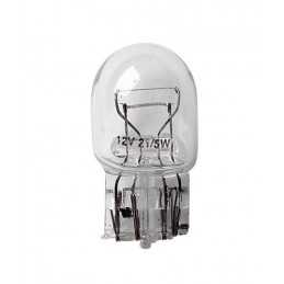 12V Lampada con zoccolo vetro - W21 5W - 21 5W - W3x16q - 2 pz - D Blister