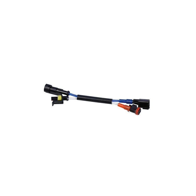 Cablaggio adattatore kit xenon 12 24V