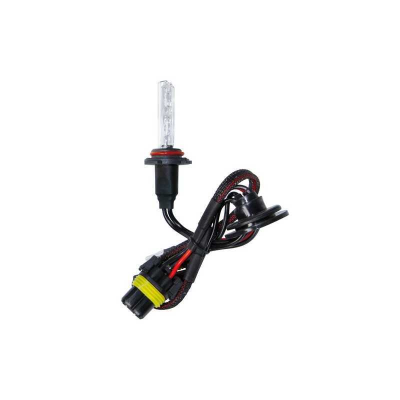 12 24V Lampadina HID Xenon 6.000K - H10 - 1 pz - Scatola