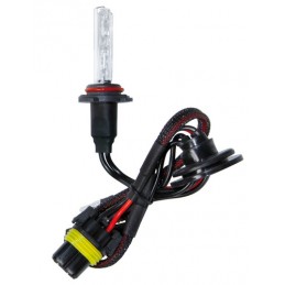 12 24V Lampadina HID Xenon 8.000K - H10 - 1 pz  - Scatola