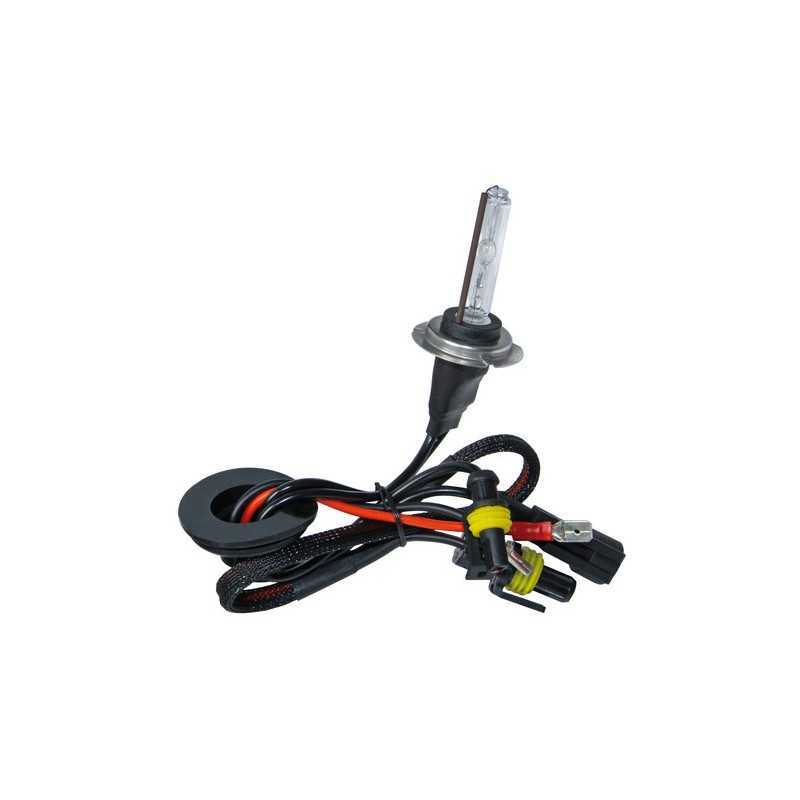 12 24V Lampadina HID Xenon 6.000K - H7 - 1 pz - Scatola