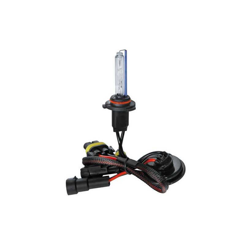 12 24V Lampadina HID Xenon 6.000K - HB4 9006 - 1 pz - Scatola