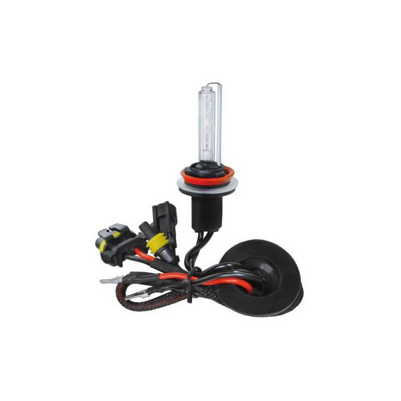 12 24V Lampadina HID Xenon 8.000K - H8 - 1 pz - Scatola