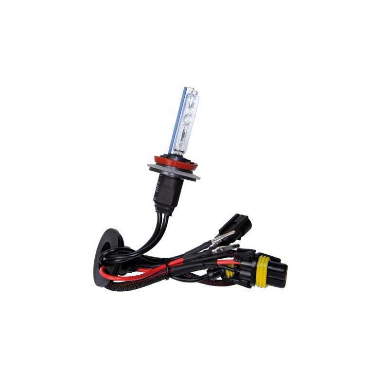 12 24V Lampadina HID Xenon 6.000K - H9 - 1 pz - Scatola