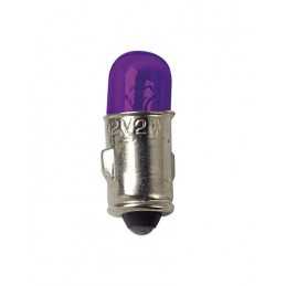 12V Lampada mignon - (J) - 2W - BA7s - 2 pz - D Blister - Viola
