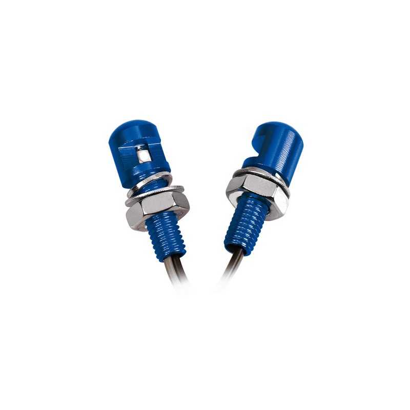 Set 2 viti con Led a luce bianca - Blu