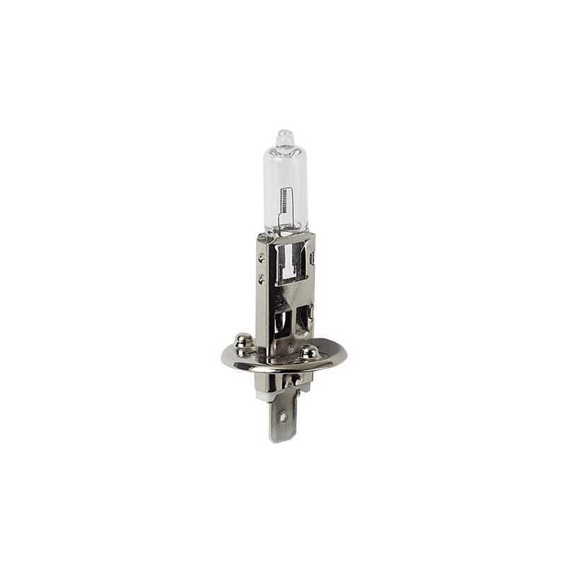 12V Lampada alogena - H1 - 55W - P14 5s - 1 pz - D Blister