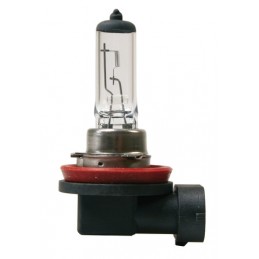 24V Lampada alogena Pro - H11 - 70W - PGJ19-2 - 1 pz  - Scatola