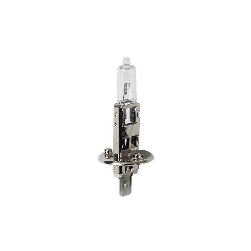 24V Lampada alogena - H1 - 70W - P14 5s - 1 pz - D Blister