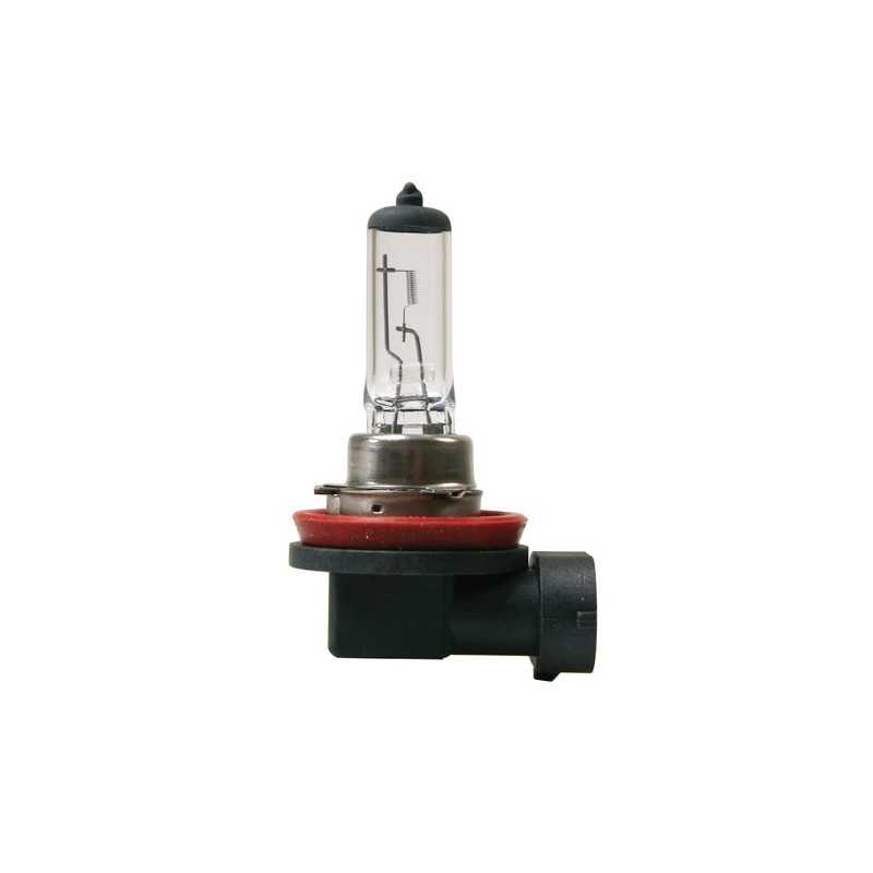 24V Lampada alogena - H11 - 70W - PGJ19-2 - 1 pz - Scatola