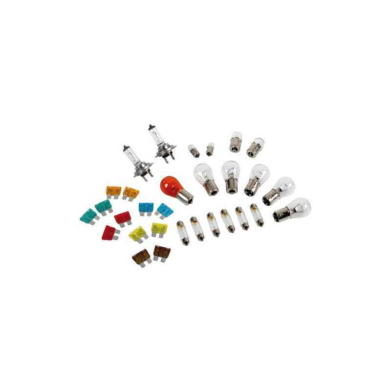 Kit lampade di ricambio 30 pz alogena 2xH7 - 24V