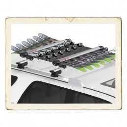 PORTASCI FATCAT6 EVO SILVER 6 PAIA DI SCI 4 SNOWBOARD