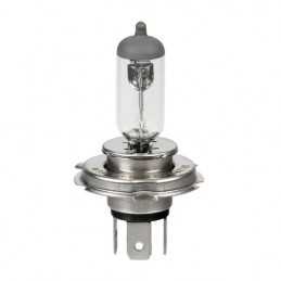 LAMPADA H19 60 55W 12V. D BLISTER