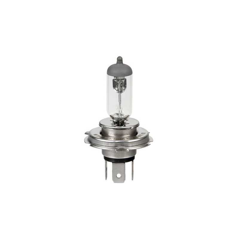 LAMPADA H19 60 55W 12V. D BLISTER