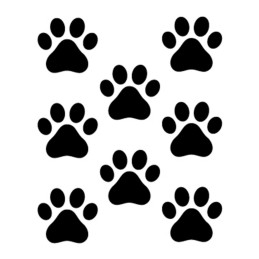 Adesivo prespaziato 8 impronte gatto