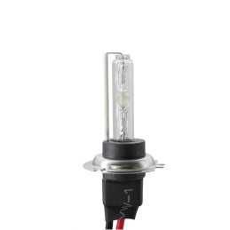 H7 Xenon 6000°K base in metallo