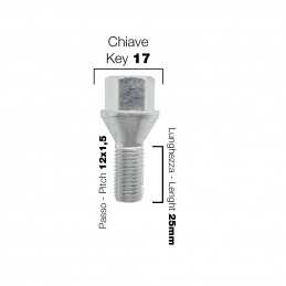 10 bulloni ch.17 12X1.5 l.25mm