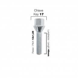 10 bulloni ch.17 12x1.25 l.46mm