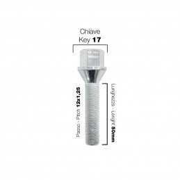 10 bulloni ch.17 12x1.25 l.50mm