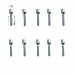 10 bulloni ch.19 12x1.25 l.55mm