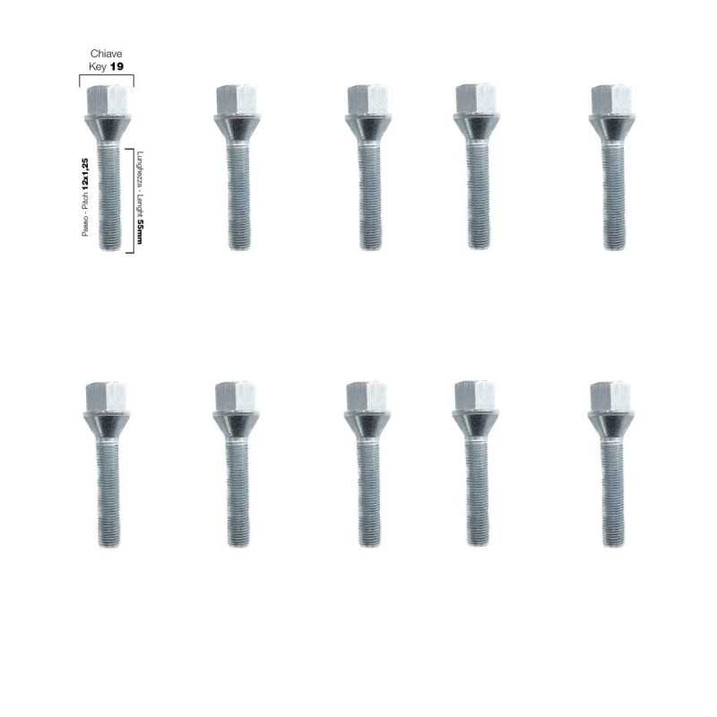 10 bulloni ch.19 12x1.25 l.55mm