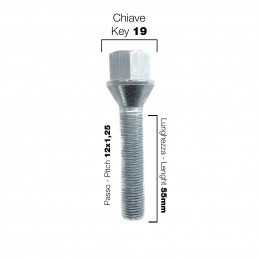 10 bulloni ch.19 12x1.25 l.55mm