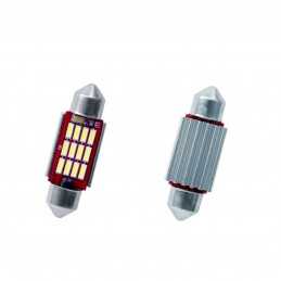C5W Warning Led canbus no polarity 41 mm