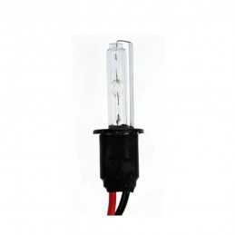 H7 Xenon 8000°K