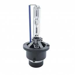 D2S Xenon 6000°K