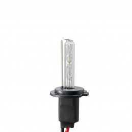 H7 Xenon 6000°K short