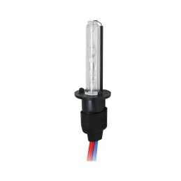 H1 Xenon 5000°K