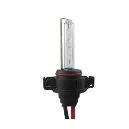 H16 Xenon 5000°K