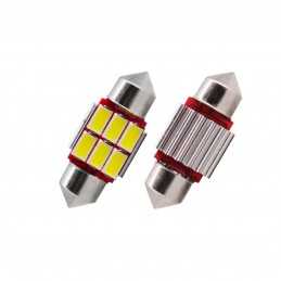 C5W Warning Led canbus no polarity 31 mm