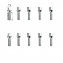 10 bulloni ch.17 14x1.5 l.40mm
