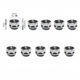 10 dadi ch.19 14x1.5 l.17mm