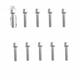 10 bulloni ch.17 12x1.5 l.60mm sferici