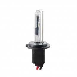 H7R Lampadina Xenon 8000°K